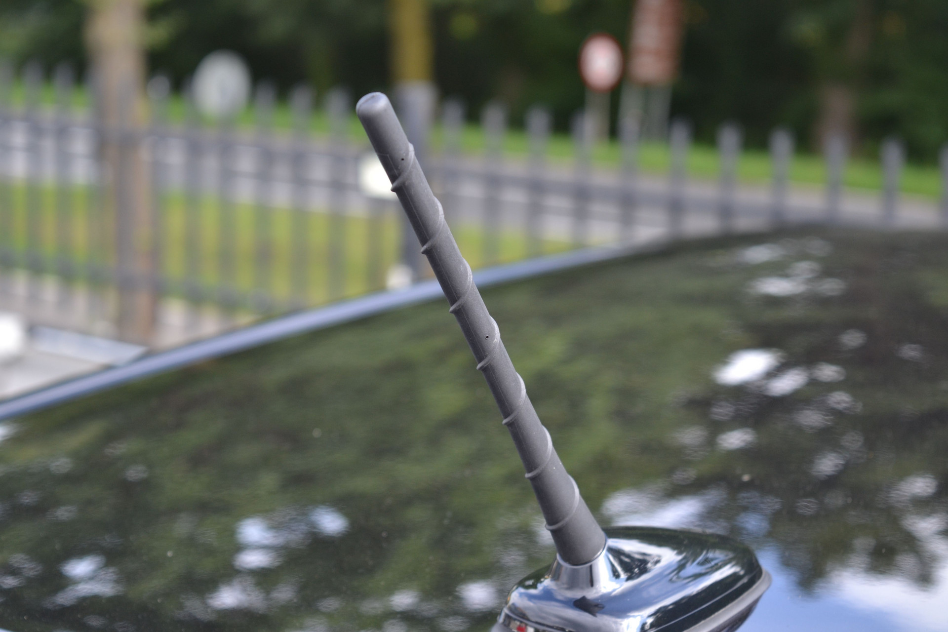 44050321-37.jpg