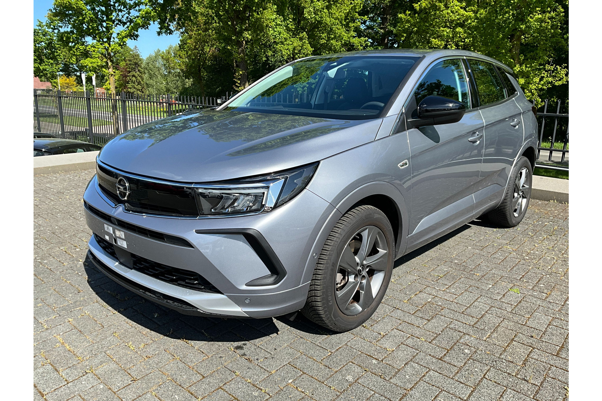 40799454-52.jpg