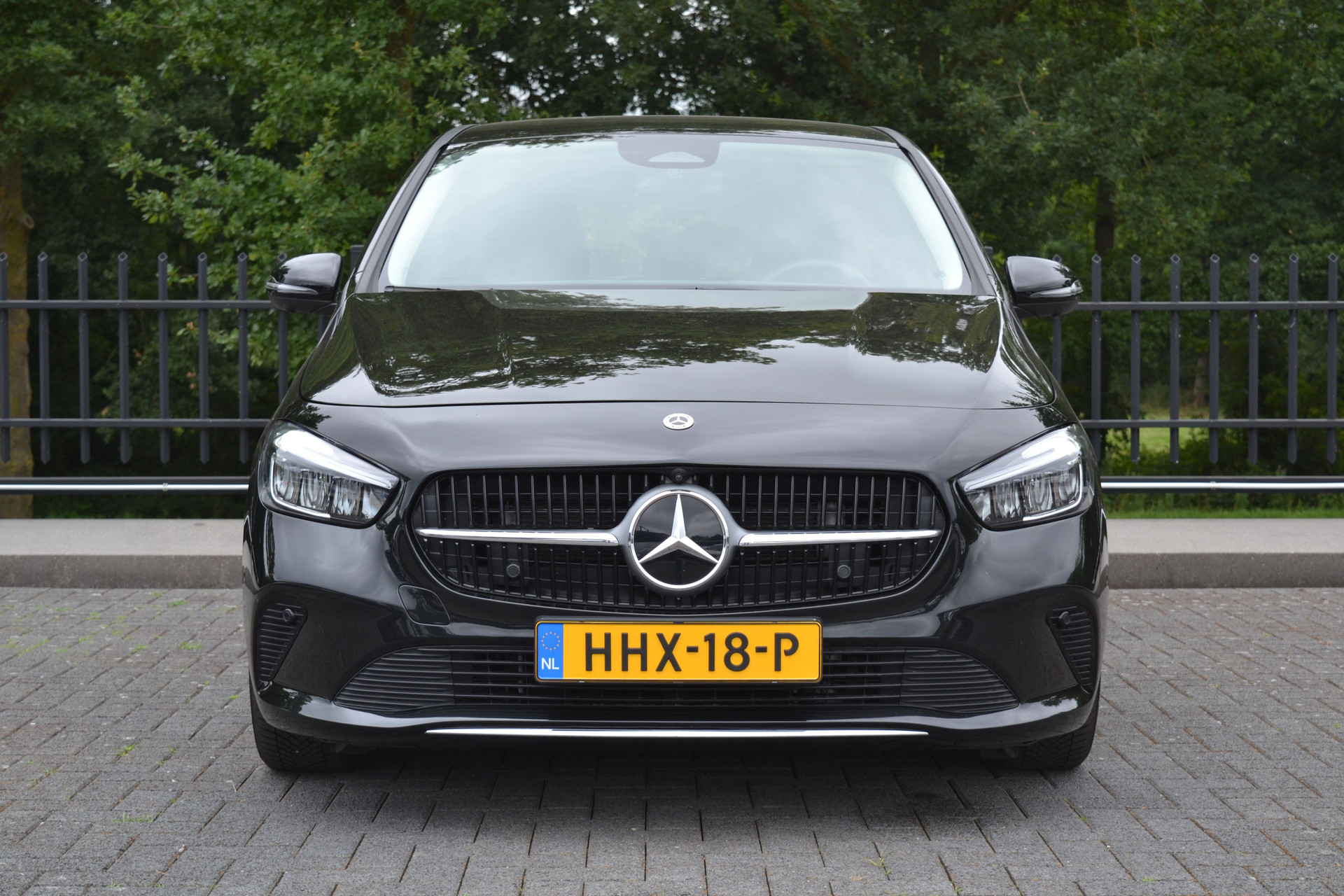 46308611-6.jpg