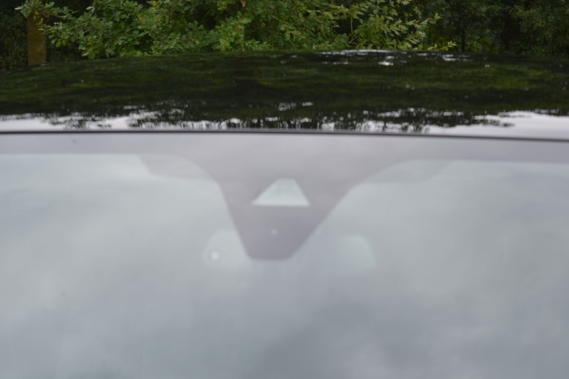 46665341-27.jpg