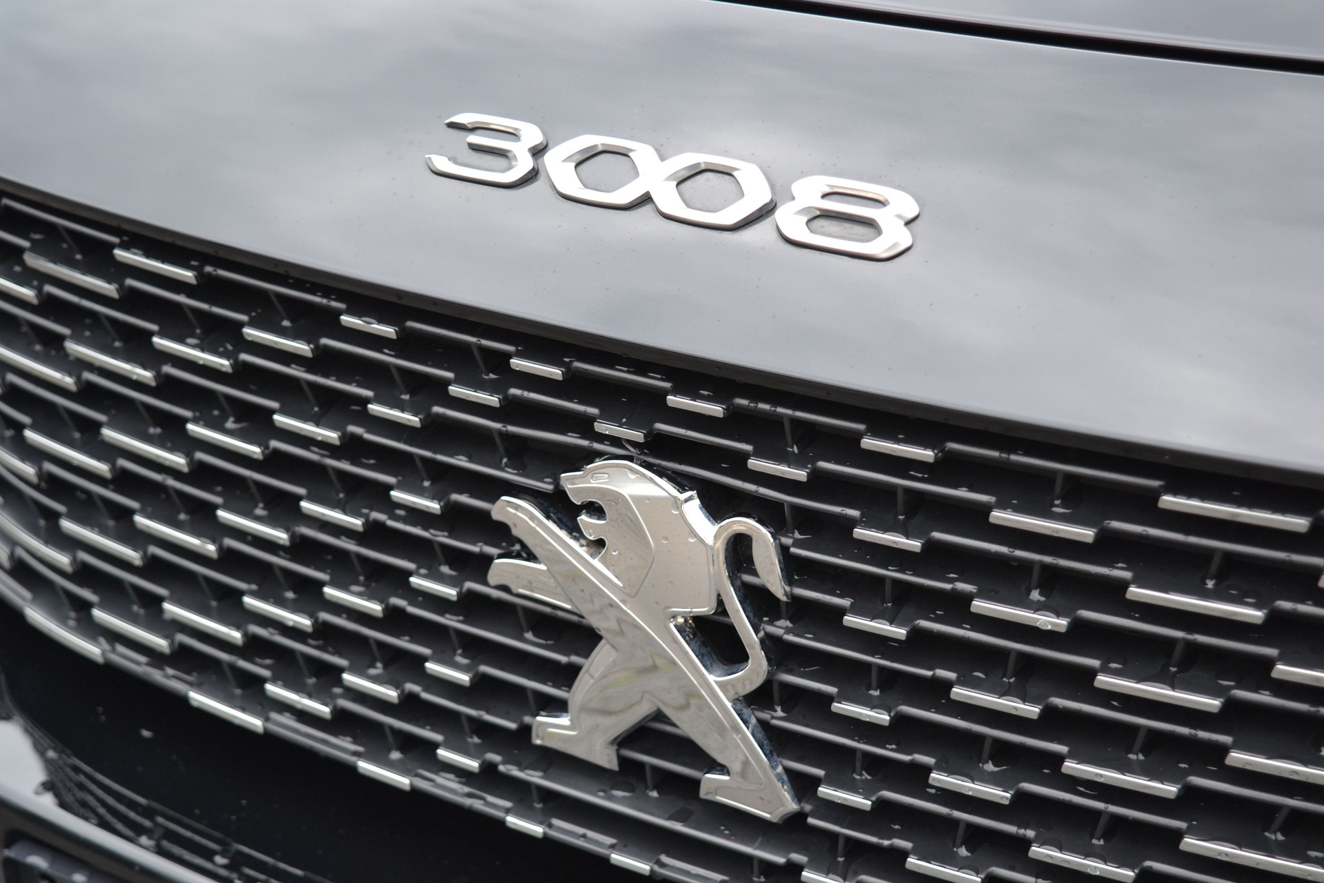 46665341-29.jpg