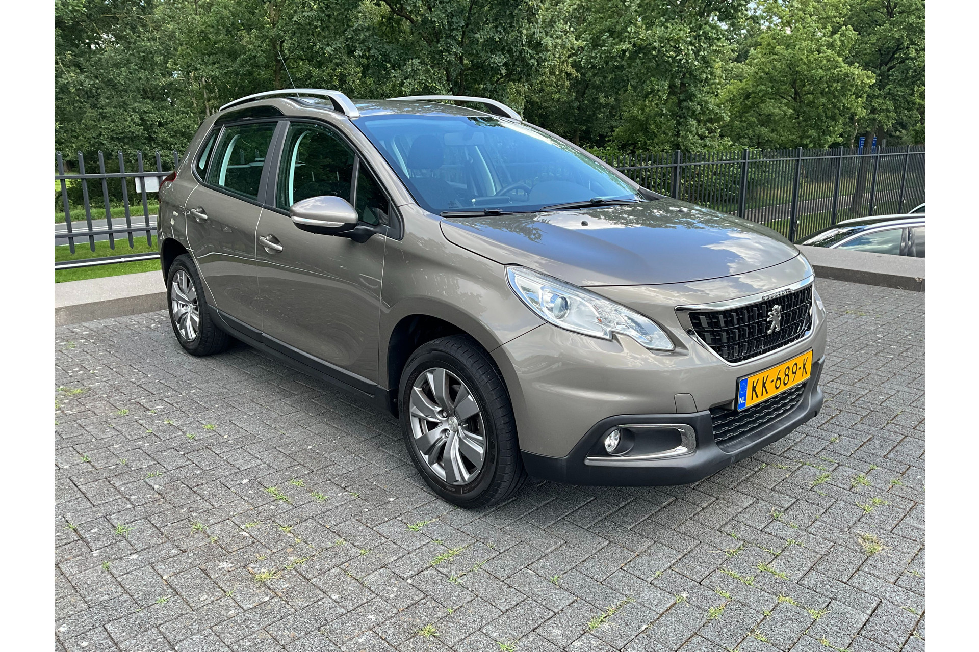 46842590-17.jpg