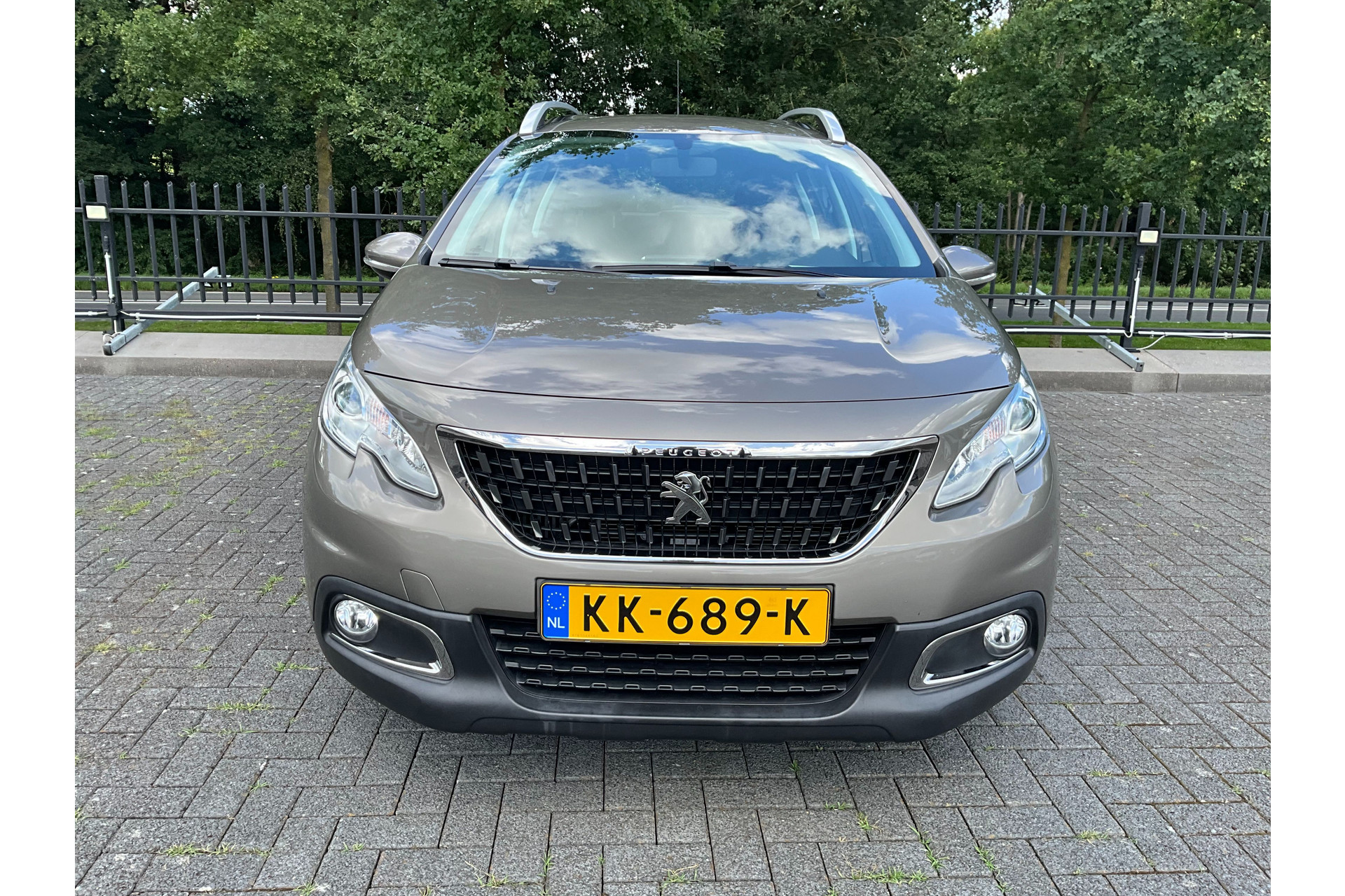 46842590-19.jpg