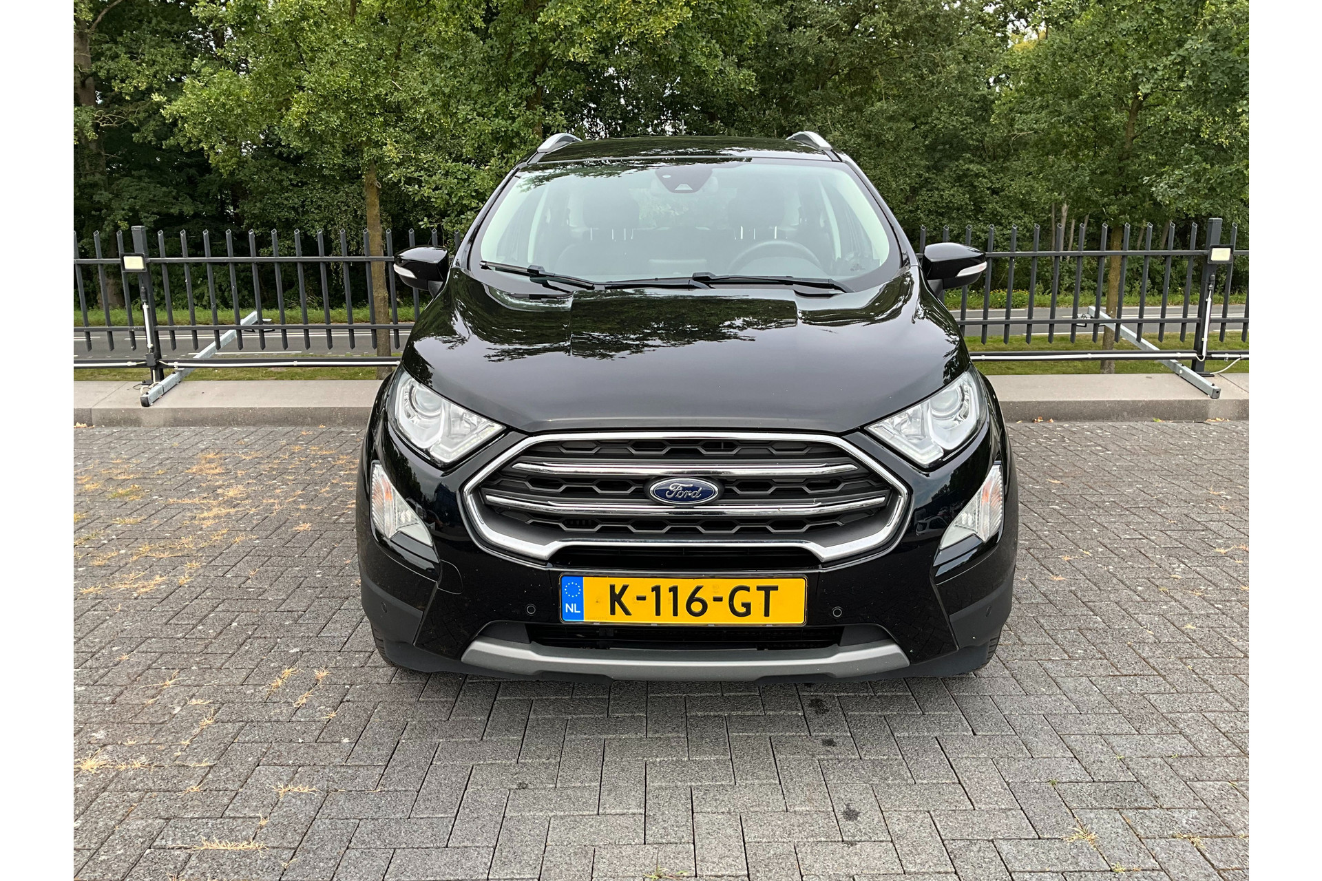 47298800-19.jpg