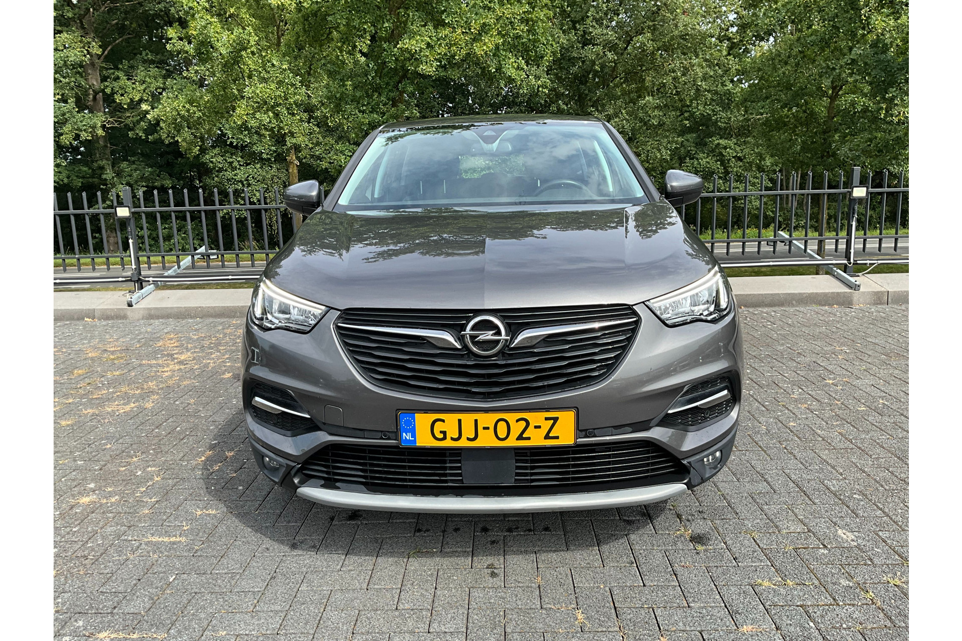 47300446-25.jpg